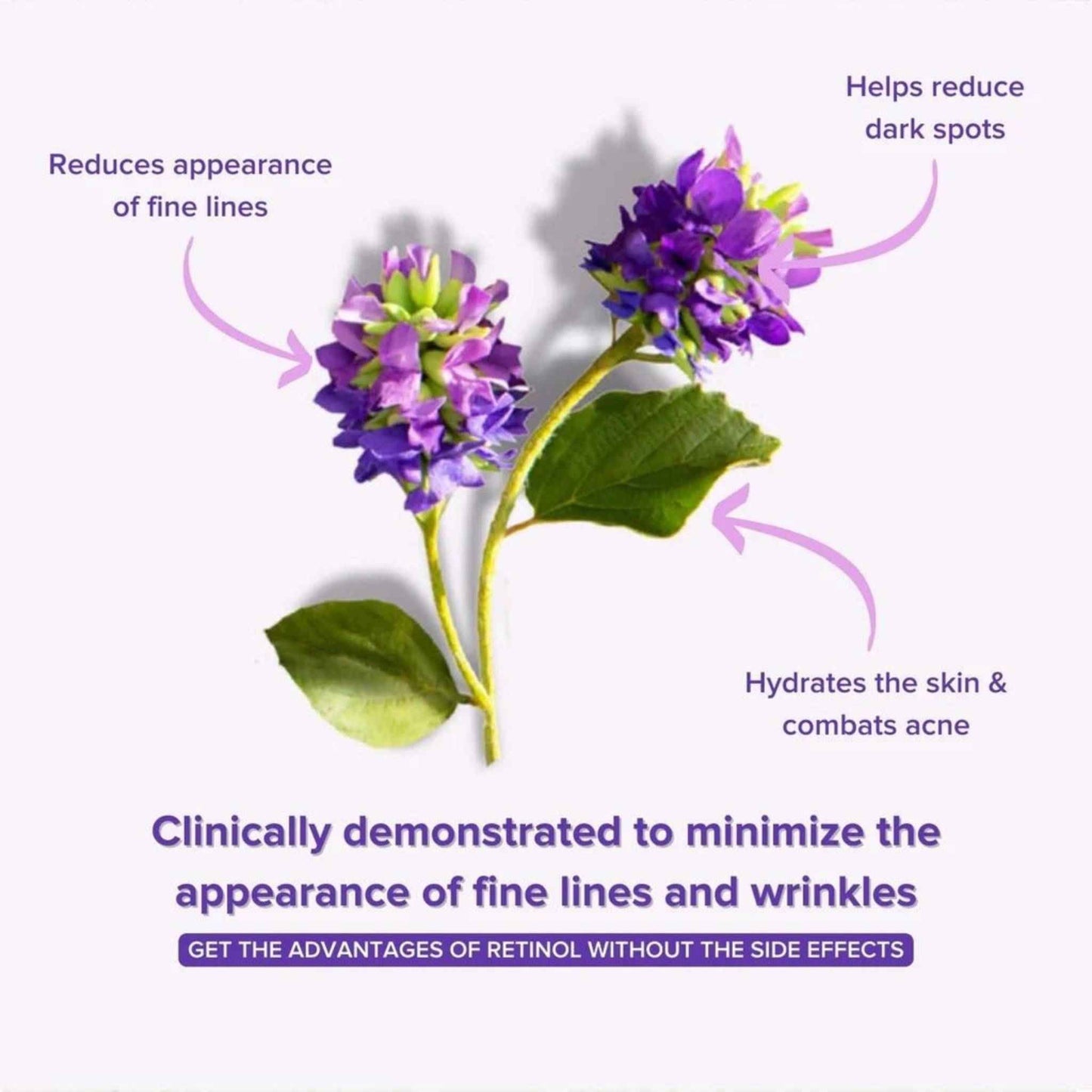 Anti-Aging Bakuchiol Eye Serum - Retinol Alternative - Harmony Beauty
